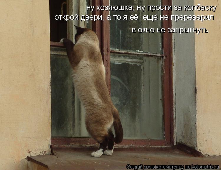ну хозяюшка, ну прости за колбаску в окно не запрыгнуть открой двери, а то я её ещё не пререварил... Котоматрица: ну хозяюшка, ну прости за колбаску в окно не запрыгнуть открой двери, а то я её ещё не пререварил