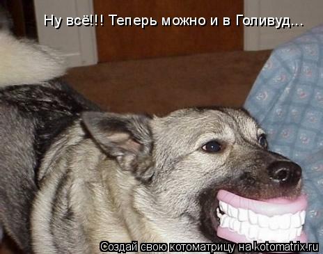 Ну всё!!! Теперь можно и в Голивуд...... Котоматрица: Ну всё!!! Теперь можно и в Голивуд...