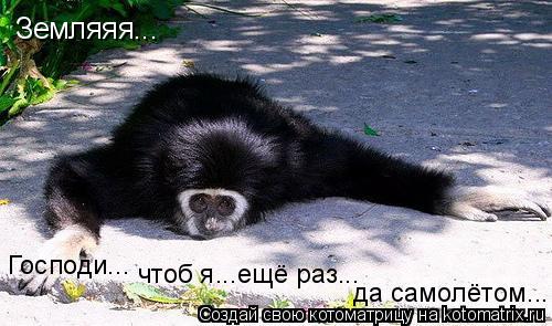 Земляяя... Господи... чтоб я...ещё раз... да самолётом...... Котоматрица: Земляяя... Господи... чтоб я...ещё раз... да самолётом...