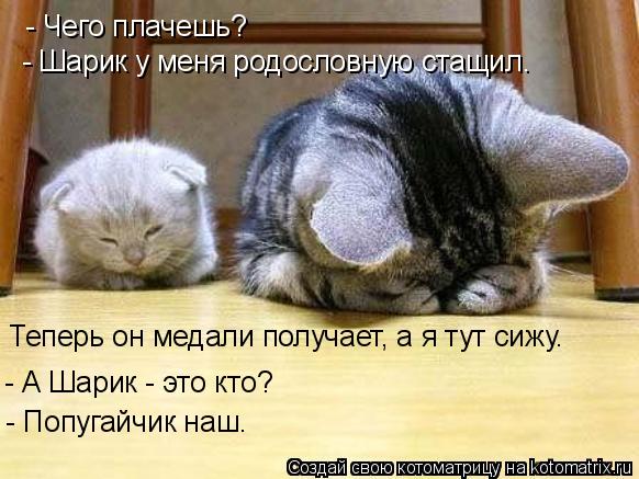 - Чего плачешь? - Шарик у меня родословную стащил. Теперь он медали получает, а я тут сижу. - А Шарик... Котоматрица: - Чего плачешь? - Шарик у меня родословную стащил. Теперь он медали получает, а я тут сижу. - А Шарик - это кто? - Попугайчик наш.