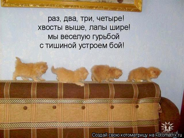 раз, два, три, четыре! хвосты выше, лапы шире! мы веселую гурьбой с тишиной устроем бой!... Котоматрица: раз, два, три, четыре! хвосты выше, лапы шире! мы веселую гурьбой с тишиной устроем бой!