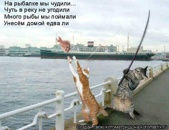 На рыбалке мы чудили... Чуть в реку не угодили Много рыбы мы поймали Унесём домой едва ли... Котоматрица: На рыбалке мы чудили... Чуть в реку не угодили Много рыбы мы поймали Унесём домой едва ли