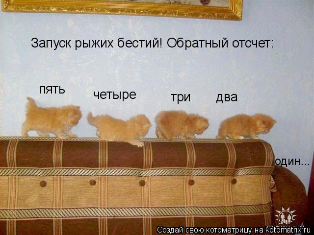 Запуск рыжих бестий! Обратный отсчет: пять четыре три два один...... Котоматрица: Запуск рыжих бестий! Обратный отсчет: пять четыре три два один...