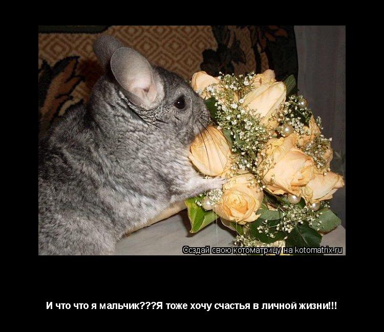 Хочу любви!!! И что что я мальчик???Я тоже хочу счастья в личной жизни!!!... Котоматрица: Хочу любви!!! И что что я мальчик???Я тоже хочу счастья в личной жизни!!!