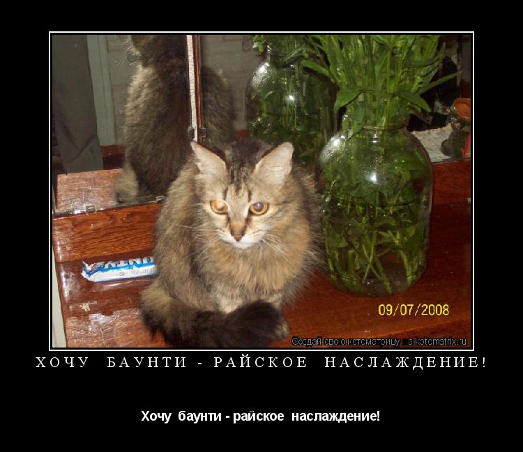 Хочу баунти - райское наслаждение! Хочу баунти - райское наслаждение!... Котоматрица: Хочу баунти - райское наслаждение! Хочу баунти - райское наслаждение!