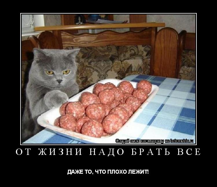 ОТ ЖИЗНИ НАДО БРАТЬ ВСЁ ДАЖЕ ТО, ЧТО ПЛОХО ЛЕЖИТ!... Котоматрица: ОТ ЖИЗНИ НАДО БРАТЬ ВСЁ ДАЖЕ ТО, ЧТО ПЛОХО ЛЕЖИТ!