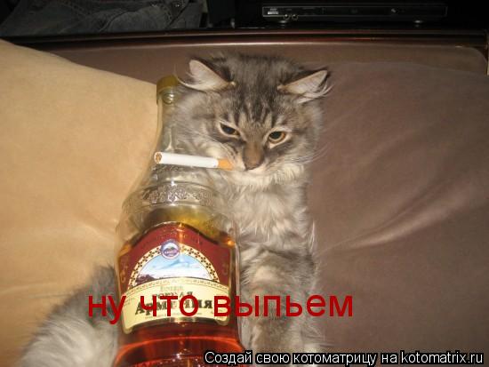 ну что выпьем... Котоматрица: ну что выпьем