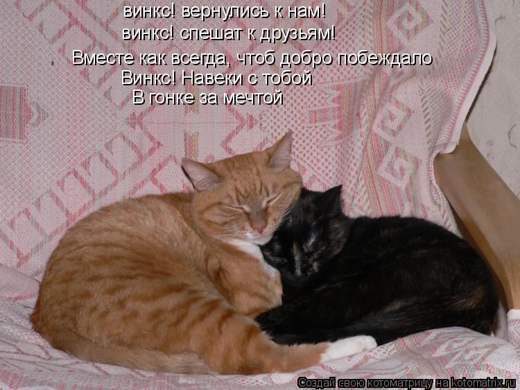 винкс! вернулись к нам! винкс! спешат к друзьям! Вместе как всегда, чтоб добро побеждало Винкс! Навек... Котоматрица: винкс! вернулись к нам! винкс! спешат к друзьям! Вместе как всегда, чтоб добро побеждало Винкс! Навеки с тобой В гонке за мечтой