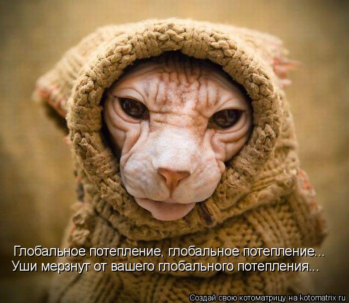 Глобальное потепление, глобальное потепление... Уши мерзнут от вашего глобального потепления...... Котоматрица: Глобальное потепление, глобальное потепление... Уши мерзнут от вашего глобального потепления...