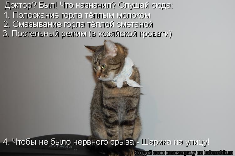 Котоматрица: Доктор? Был! Что назначил? Слушай сюда: 1. Полоскание горла тёплым молоком 2. Смазывание горла тёплой сметаной 3. Постельный режим (в хозяйской