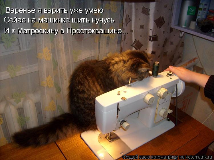 Варенье я варить уже умею Сейас на машинке шить нучусь И к Матроскину в Простоквашино...... Котоматрица: Варенье я варить уже умею Сейас на машинке шить нучусь И к Матроскину в Простоквашино...