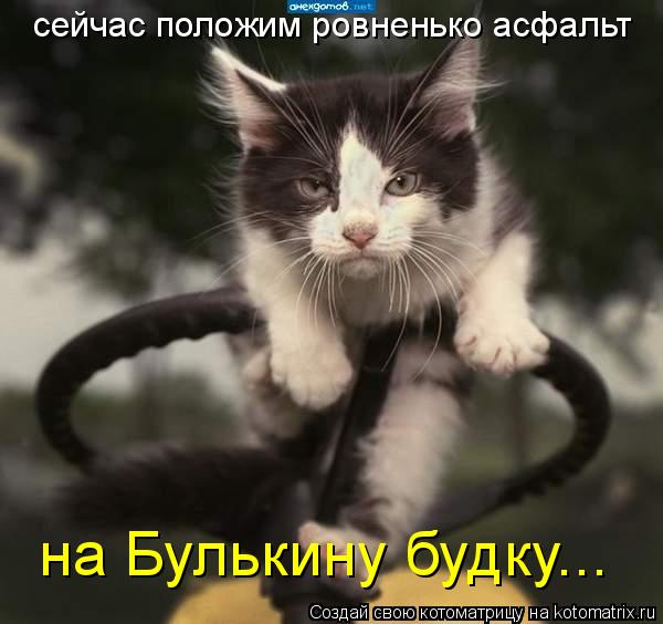 сейчас положим ровненько асфальт на Булькину будку...... Котоматрица: сейчас положим ровненько асфальт на Булькину будку...