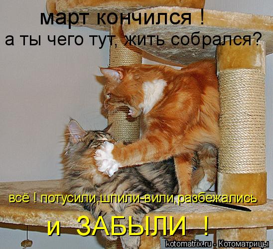 март кончился ! а ты чего тут, жить собрался? всё ! потусили,шпили-вили,разбежались и ЗАБЫЛИ !... Котоматрица: март кончился ! а ты чего тут, жить собрался? всё ! потусили,шпили-вили,разбежались и ЗАБЫЛИ !