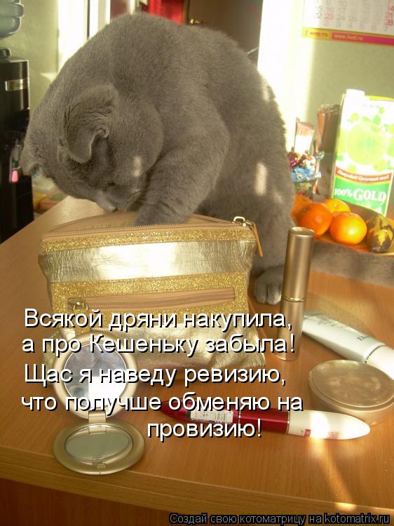 Всякой дряни накупила, а про Кешеньку забыла! Щас я наведу ревизию, что получше обменяю на провизию!... Котоматрица: Всякой дряни накупила, а про Кешеньку забыла! Щас я наведу ревизию, что получше обменяю на провизию!