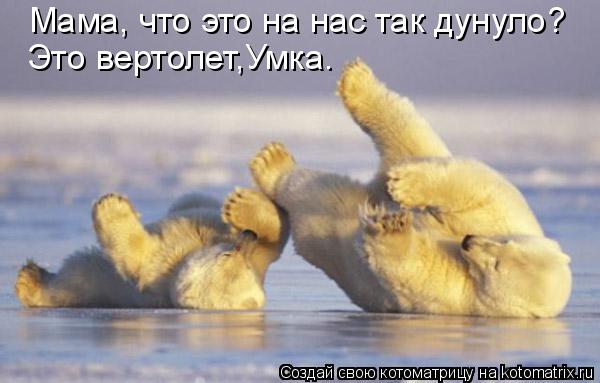 Мама, что это на нас так дунуло? Это вертолет,Умка.... Котоматрица: Мама, что это на нас так дунуло? Это вертолет,Умка.