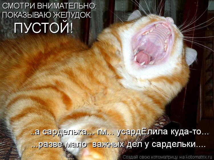 СМОТРИ ВНИМАТЕЛЬНО: ПОКАЗЫВАЮ ЖЕЛУДОК. ПУСТОЙ! ..а сарделька... гм... усардЕлила куда-то... ...разве ... Котоматрица: СМОТРИ ВНИМАТЕЛЬНО: ПОКАЗЫВАЮ ЖЕЛУДОК. ПУСТОЙ! ..а сарделька... гм... усардЕлила куда-то... ...разве мало важных дел у сардельки....