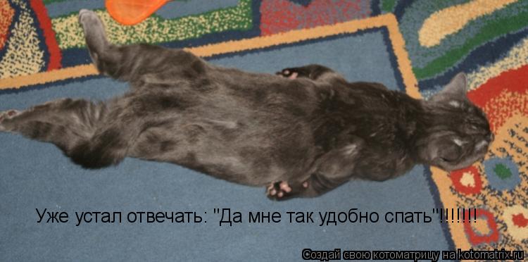 Уже устал отвечать: "Да мне так удобно спать"!!!!!!!... Котоматрица: Уже устал отвечать: "Да мне так удобно спать"!!!!!!!