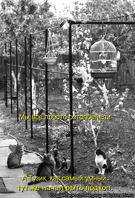 А Тузик, как самый умный, тут же начал рыть подкоп. Мы все просто остолбенели... Котоматрица: А Тузик, как самый умный, тут же начал рыть подкоп. Мы все просто остолбенели