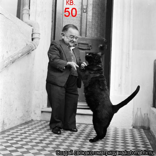 кв. 50... Котоматрица: кв. 50