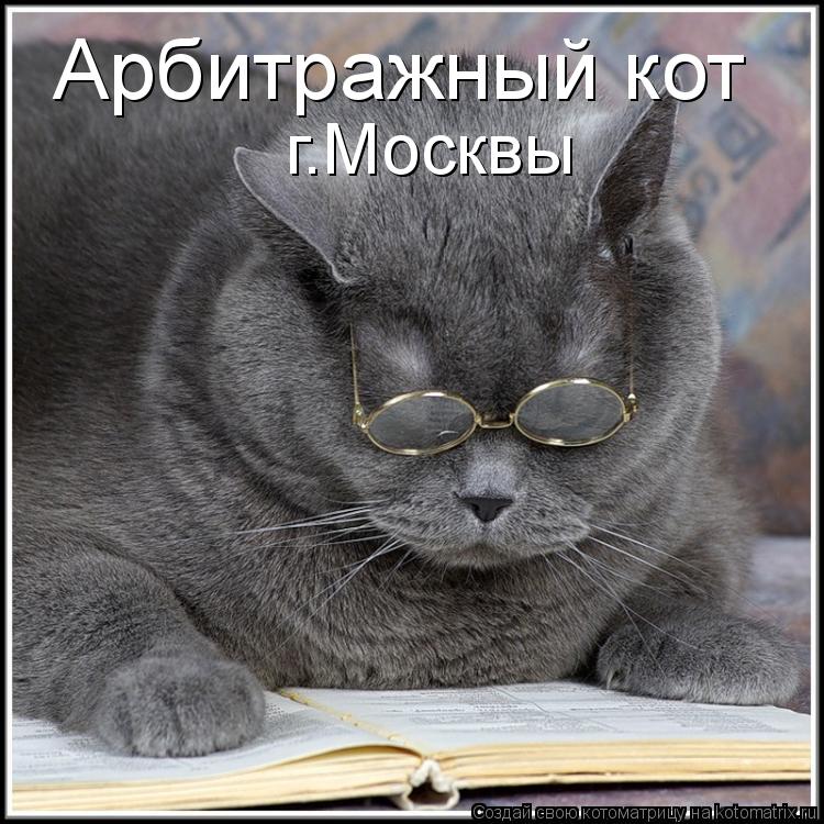 Арбитражный кот г.Москвы... Котоматрица: Арбитражный кот г.Москвы
