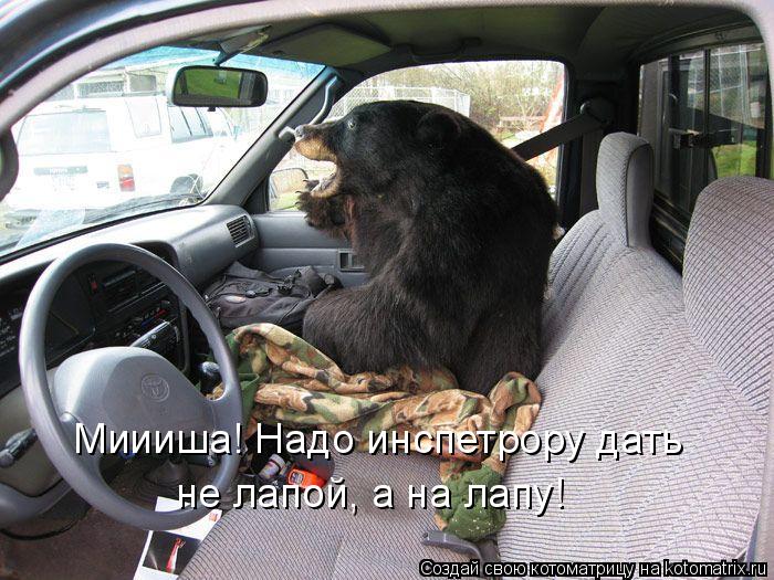 Миииша! Надо инспетрору дать не лапой, а на лапу!... Котоматрица: Миииша! Надо инспетрору дать не лапой, а на лапу!