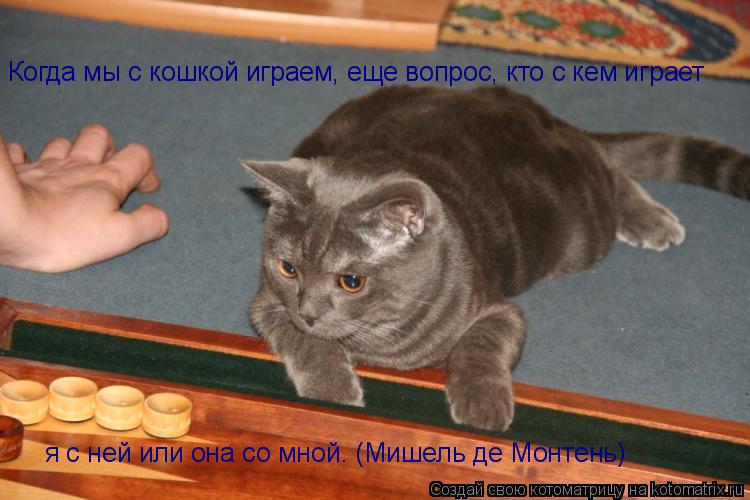 Когда мы с кошкой играем, еще вопрос, кто с кем играет я с ней или она со мной. (Мишель де Монтень)... Котоматрица: Когда мы с кошкой играем, еще вопрос, кто с кем играет я с ней или она со мной. (Мишель де Монтень)