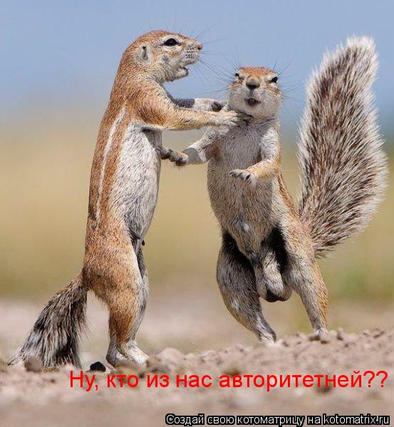 Ну, кто из нас авторитетней??... Котоматрица: Ну, кто из нас авторитетней??