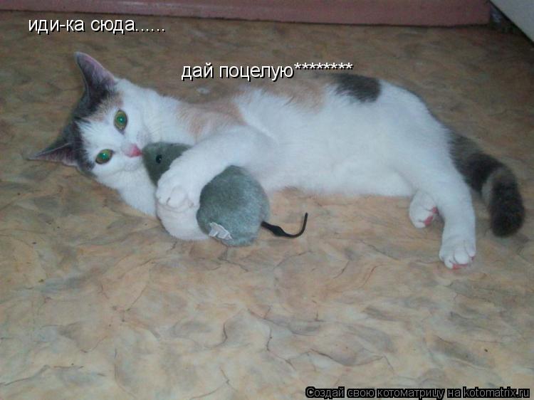 иди-ка сюда...... дай поцелую********... Котоматрица: иди-ка сюда...... дай поцелую********