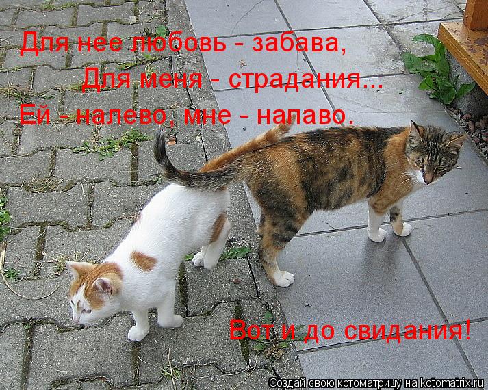 Для нее любовь - забава, Для меня - страдания... Ей - налево, мне - напаво. Вот и до свидания!... Котоматрица: Для нее любовь - забава, Для меня - страдания... Ей - налево, мне - напаво. Вот и до свидания!