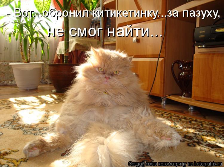 Котоматрица: - Вот...обронил китикетинку...за пазуху, не смог найти...