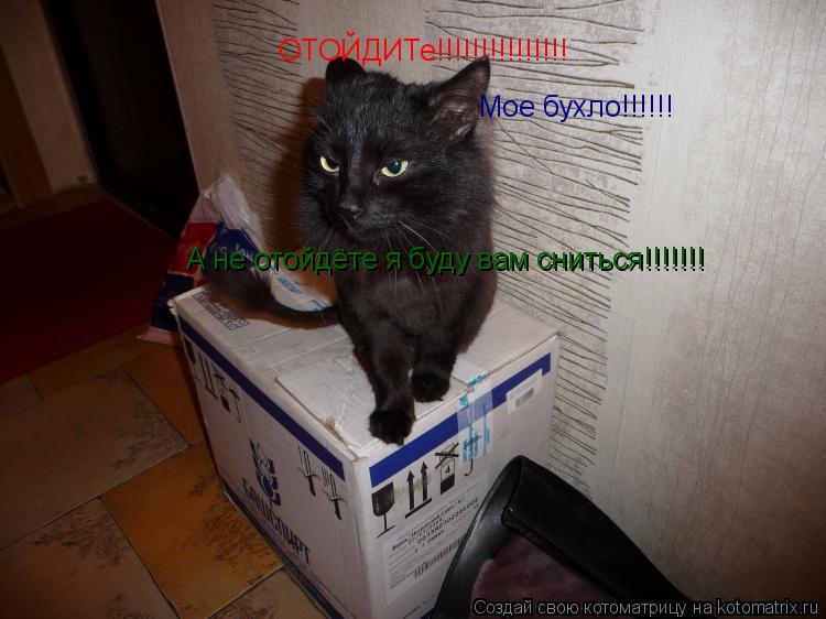 ОТОЙДИТе!!!!!!!!!!!!!!! Мое бухло!!!!!! А не отойдёте я буду вам сниться!!!!!!!... Котоматрица: ОТОЙДИТе!!!!!!!!!!!!!!! Мое бухло!!!!!! А не отойдёте я буду вам сниться!!!!!!!