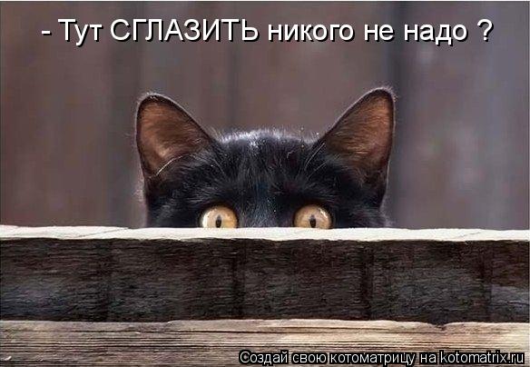 - Тут СГЛАЗИТЬ никого не надо ?... Котоматрица: - Тут СГЛАЗИТЬ никого не надо ?