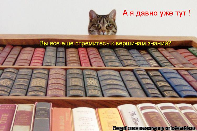 Вы все еще стремитесь к вершинам знаний? А я давно уже тут !... Котоматрица: Вы все еще стремитесь к вершинам знаний? А я давно уже тут !
