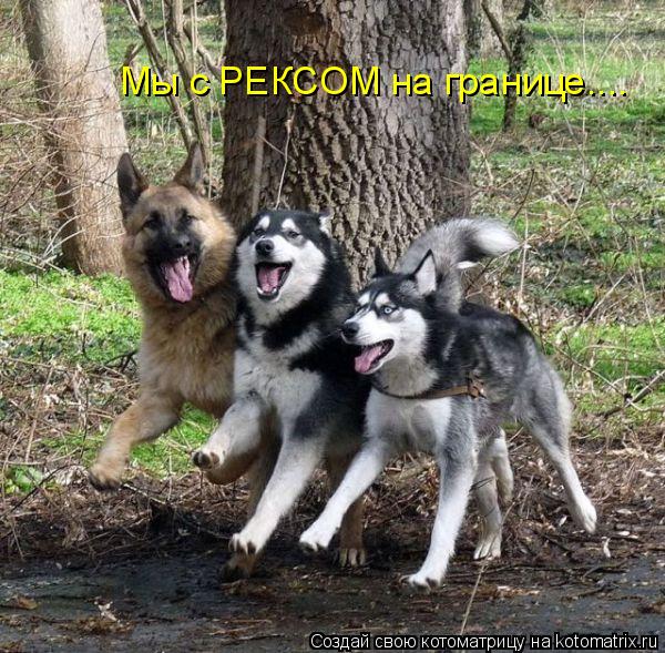 Мы с РЕКСОМ на границе....... Котоматрица: Мы с РЕКСОМ на границе....