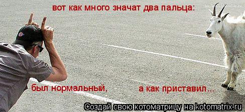 вот как много значат два пальца: а как приставил... был нормальный,... Котоматрица: вот как много значат два пальца: а как приставил... был нормальный,