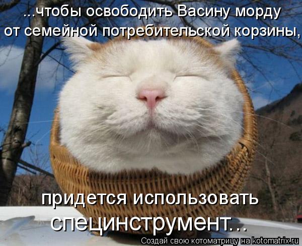 ...чтобы освободить Васину морду от семейной потребительской корзины, придется использовать специнст... Котоматрица: ...чтобы освободить Васину морду от семейной потребительской корзины, придется использовать специнструмент...
