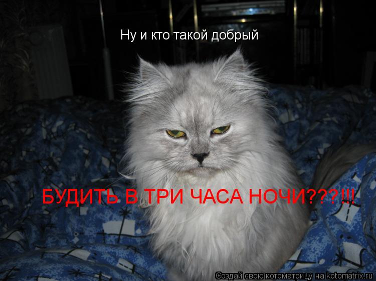 Ну и кто такой добрый БУДИТЬ В ТРИ ЧАСА НОЧИ???!!!... Котоматрица: Ну и кто такой добрый БУДИТЬ В ТРИ ЧАСА НОЧИ???!!!