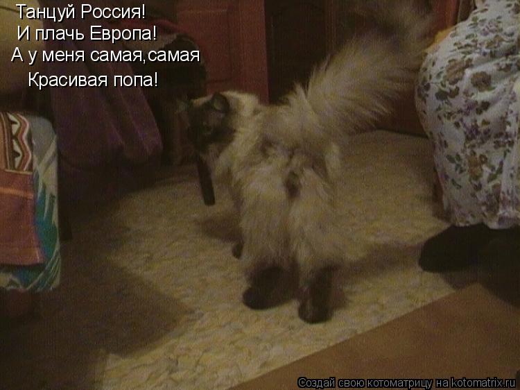 Танцуй Россия! И плачь Европа! А у меня самая,самая Красивая попа!... Котоматрица: Танцуй Россия! И плачь Европа! А у меня самая,самая Красивая попа!
