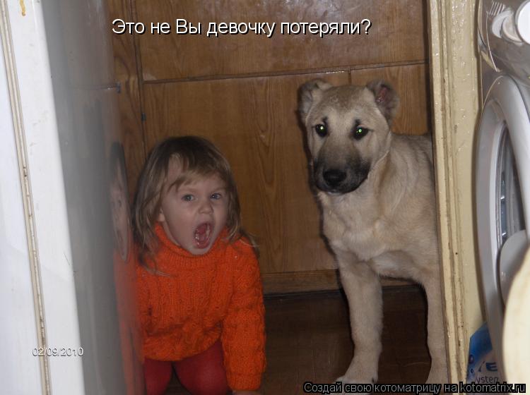 Это не Вы девочку потеряли?... Котоматрица: Это не Вы девочку потеряли?