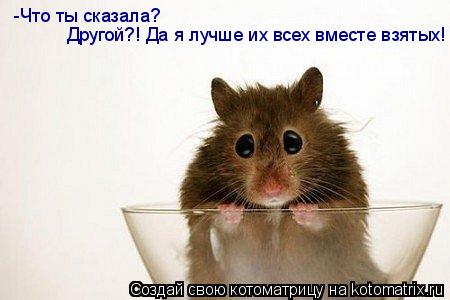 -Что ты сказала? Другой?! Да я лучше их всех вместе взятых!... Котоматрица: -Что ты сказала? Другой?! Да я лучше их всех вместе взятых!