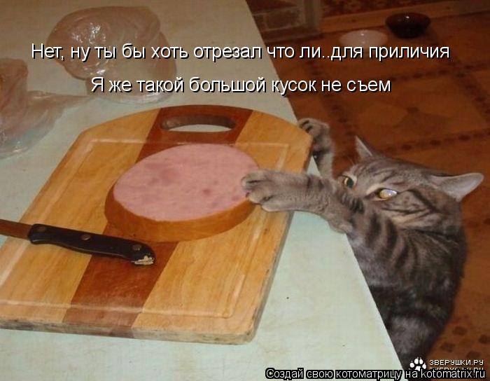Нет, ну ты бы хоть отрезал что ли..для приличия Я же такой большой кусок не съем... Котоматрица: Нет, ну ты бы хоть отрезал что ли..для приличия Я же такой большой кусок не съем