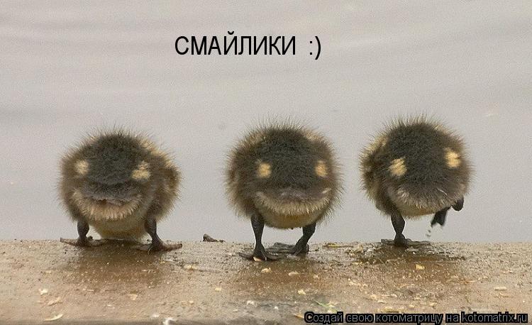 СМАЙЛИКИ :)... Котоматрица: СМАЙЛИКИ :)