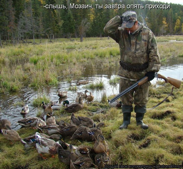 -слышь, Мозаич, ты завтра опять приходи... Котоматрица: -слышь, Мозаич, ты завтра опять приходи