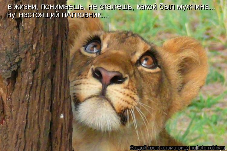 в жизни, понимаешь, не скажешь, какой был мужчина... ну, настоящий пАлковник....... Котоматрица: в жизни, понимаешь, не скажешь, какой был мужчина... ну, настоящий пАлковник....