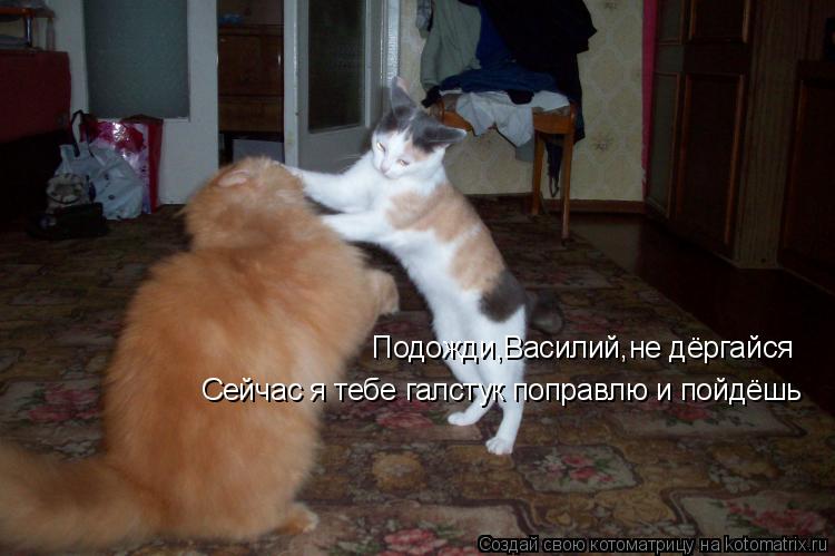Подожди,Василий,не дёргайся Сейчас я тебе галстук поправлю и пойдёшь... Котоматрица: Подожди,Василий,не дёргайся Сейчас я тебе галстук поправлю и пойдёшь