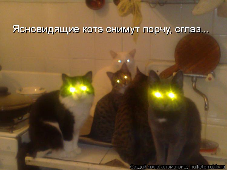 Ясновидящие котэ снимут порчу, сглаз...... Котоматрица: Ясновидящие котэ снимут порчу, сглаз...