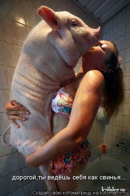 дорогой,ты ведёшь себя как свинья...... Котоматрица: дорогой,ты ведёшь себя как свинья...