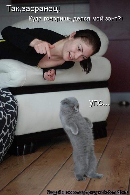Так,засранец! Куда говоришь делся мой зонт?! упс...... Котоматрица: Так,засранец! Куда говоришь делся мой зонт?! упс...