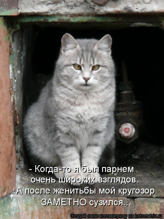 Котоматрица: очень широких взглядов. - Когда-то я был парнем ЗАМЕТНО сузился... А после женитьбы мой кругозор