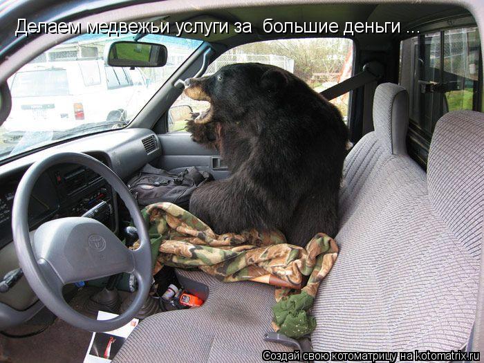Делаем медвежьи услуги за большие деньги ...... Котоматрица: Делаем медвежьи услуги за большие деньги ...